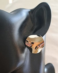 Minnesota 1 Stainless Steel Disc Stud Earrings