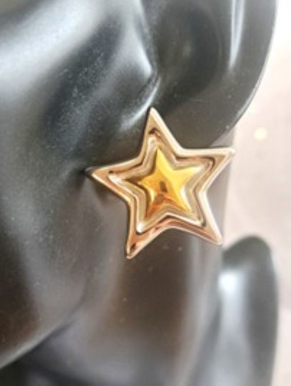 Arizona Stainless Steel Star Earrings with 18ct Gold Plating