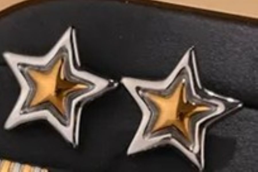Arizona Stainless Steel Star Earrings with 18ct Gold Plating