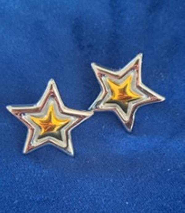 Arizona Stainless Steel Star Earrings with 18ct Gold Plating