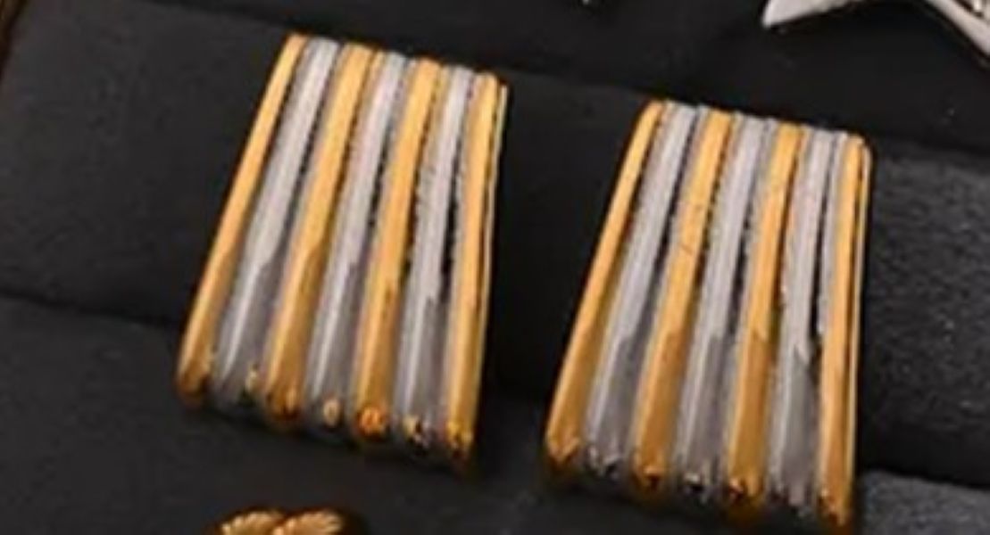 Arkansas Stainless Steel Earrings with 18ct Gold Plating