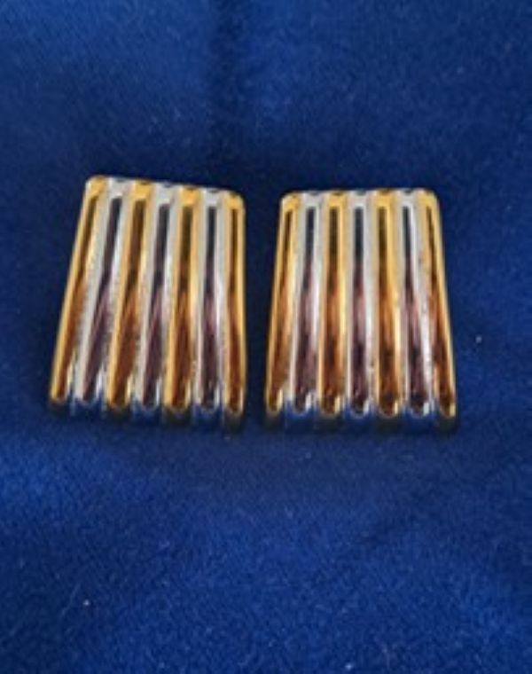 Arkansas Stainless Steel Earrings with 18ct Gold Plating
